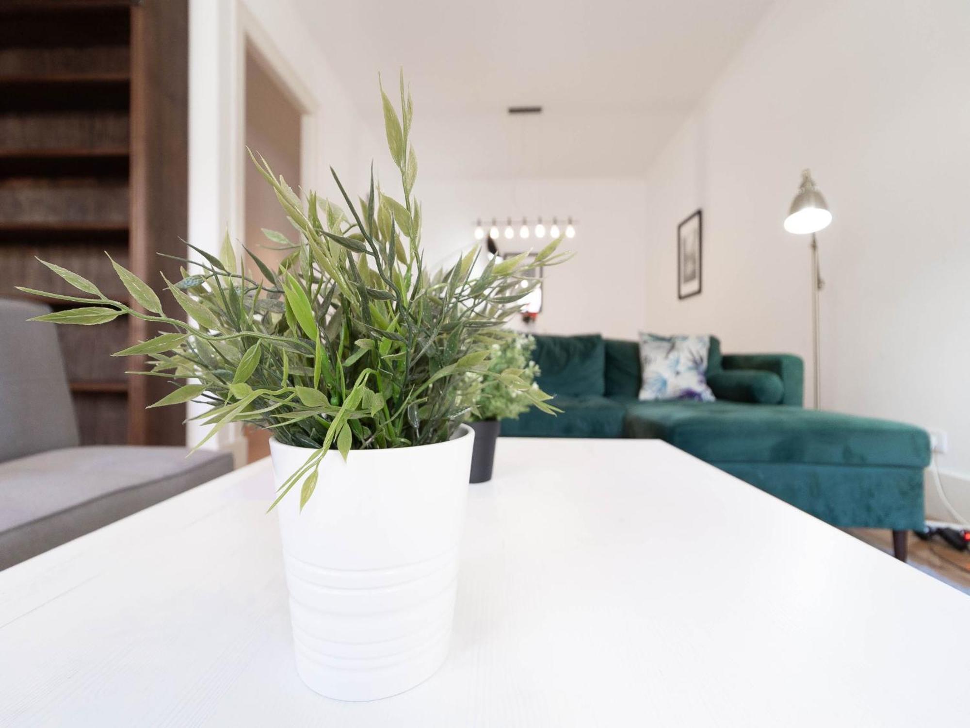 Akicity Praca De Espanha Sun Apartamento